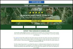 acetreesurgeonsunderland.co.uk