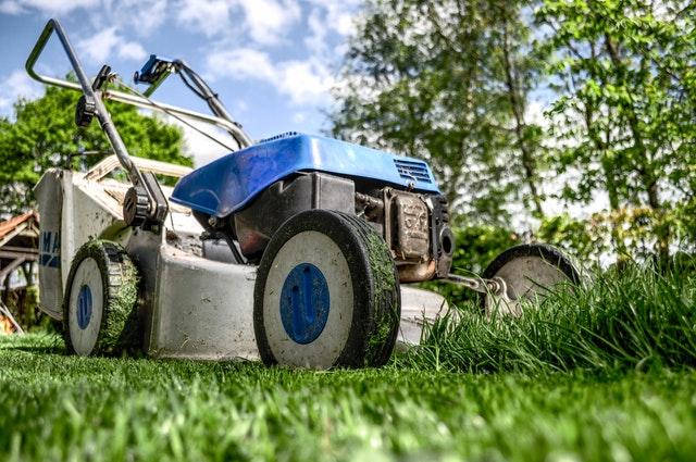 blue and white lawn mower in yard with green grass
