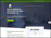 moldremediationlakecharles.com
