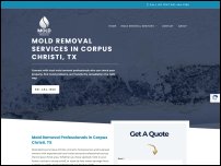 moldremovalcorpuschristi.com