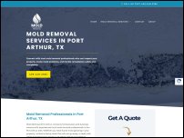 moldremovalportarthur.com