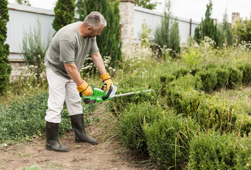 senior man using trimming tool bush